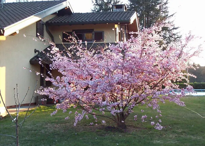 Bed & Breakfast Il Ciliegio 4*