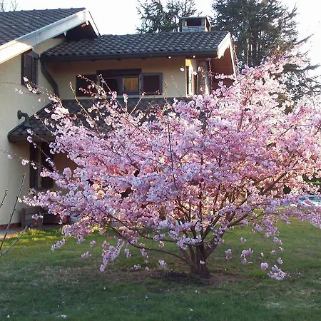Frühstückspension Il Ciliegio 4*